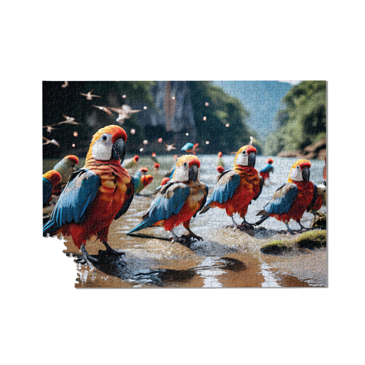 THE PARROT kutu oyunu (ek)
